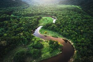 Image of The Amazon River and Rainforest